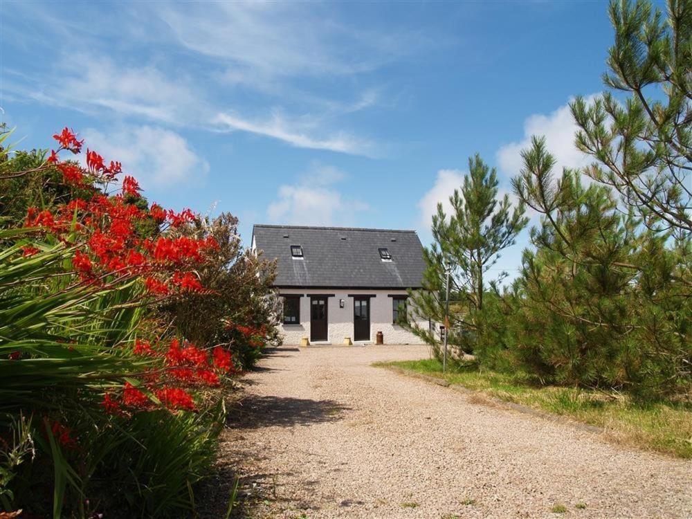 Cockshead Cottage Saint Dogmaels エクステリア 写真